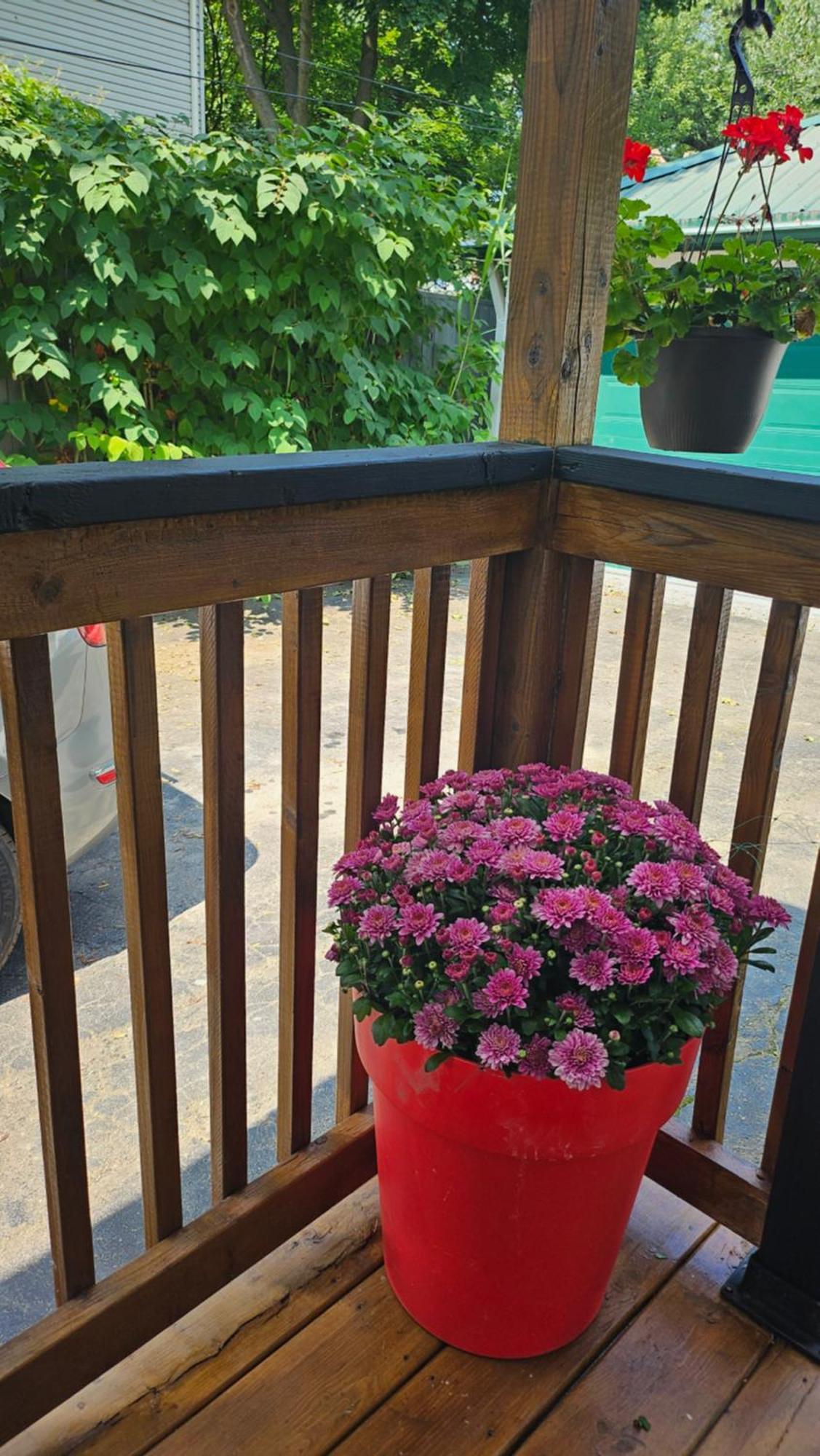 Serenity Inn Niagara Falls Ngoại thất bức ảnh